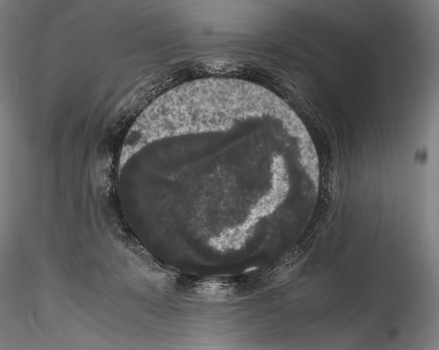 X0000114410319200911271532