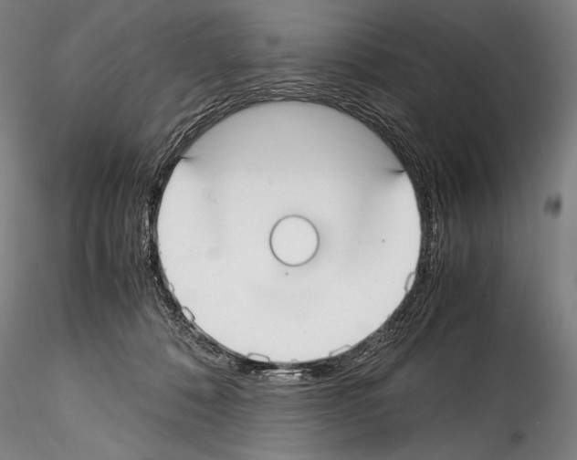 X0000114410320200911271532