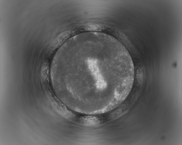 X0000114410322200911271532