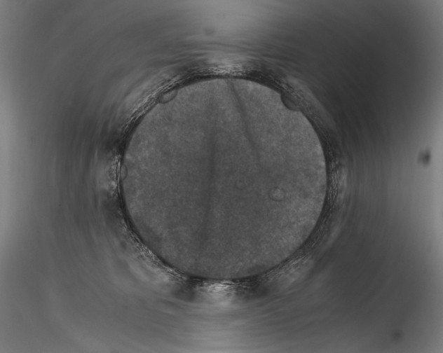 X0000114410325200911271532