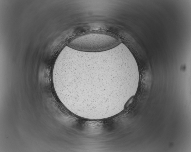 X0000114410327200911271532