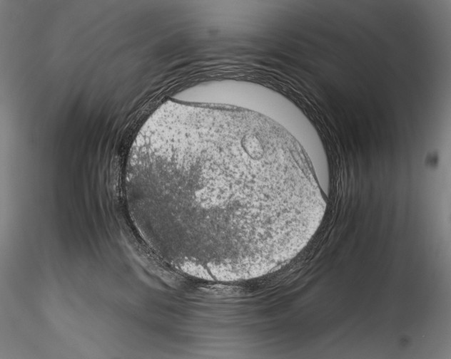 X0000114410328200911271532