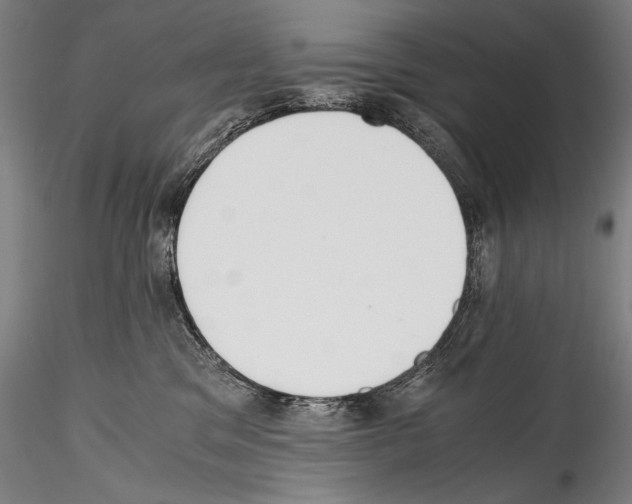 X0000114410329200911271532