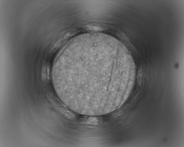 X0000114410330200911271532