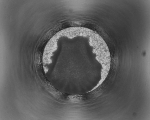 X0000114410331200911271532