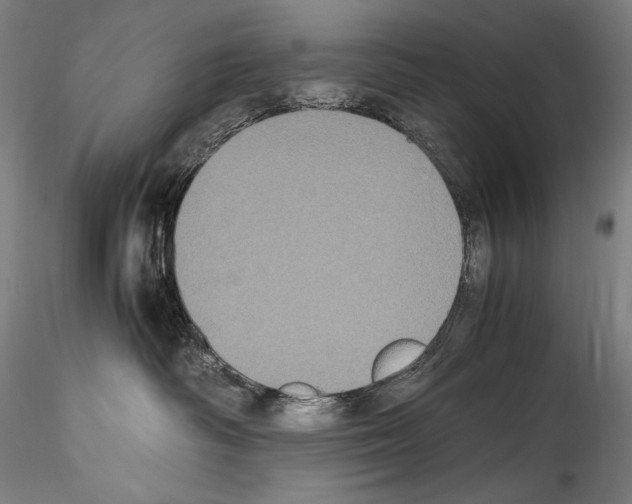 X0000114410334200911271532