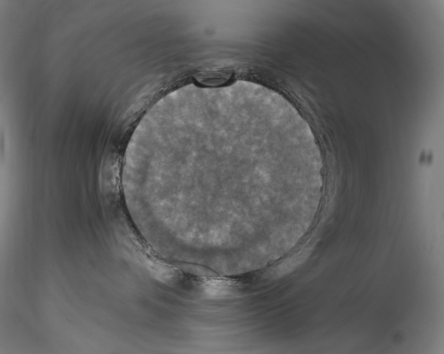 X0000114410336200911271532