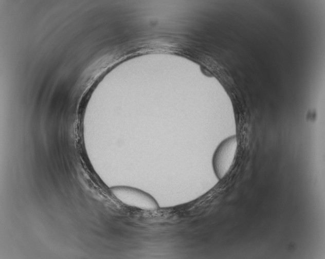 X0000114410338200911271531