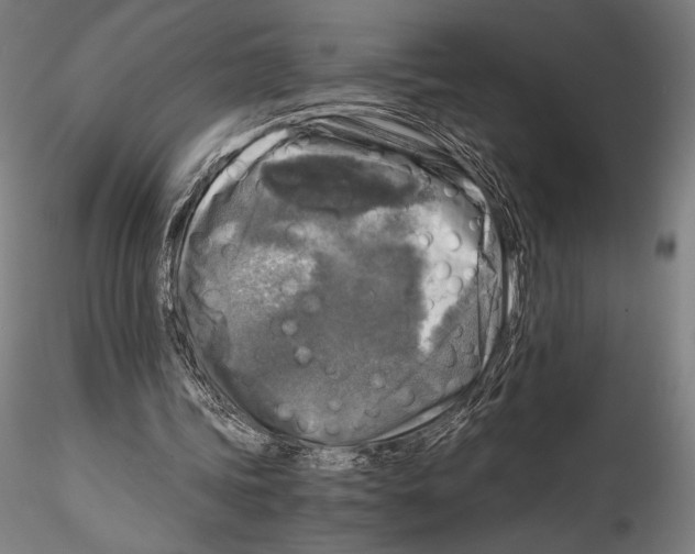 X0000114410339200911271531