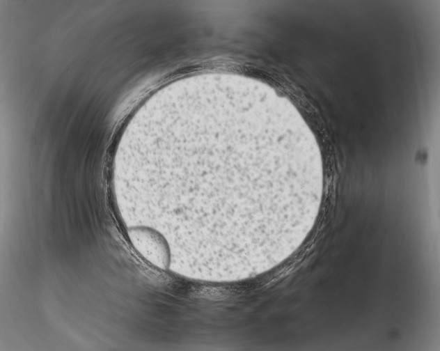 X0000114410341200911271531