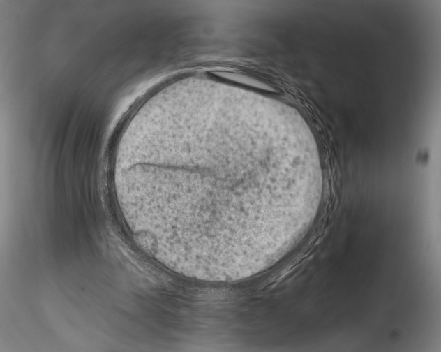 X0000114410342200911271531