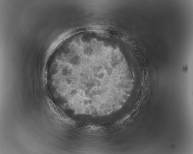 X0000114410343200911271531