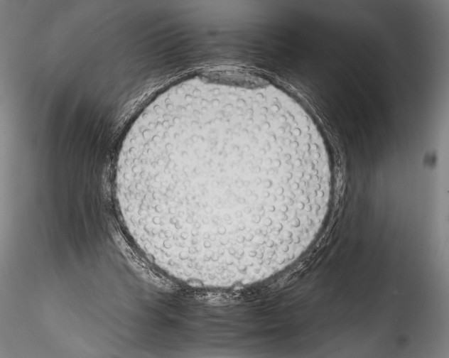 X0000114410345200911271531