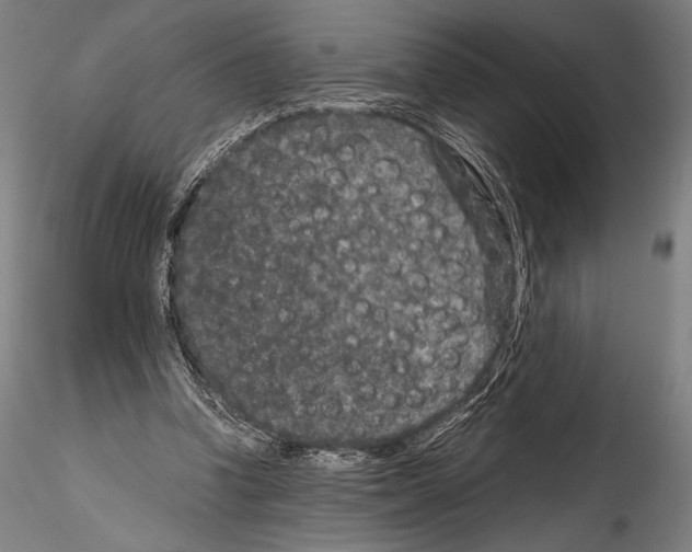 X0000114410346200911271531