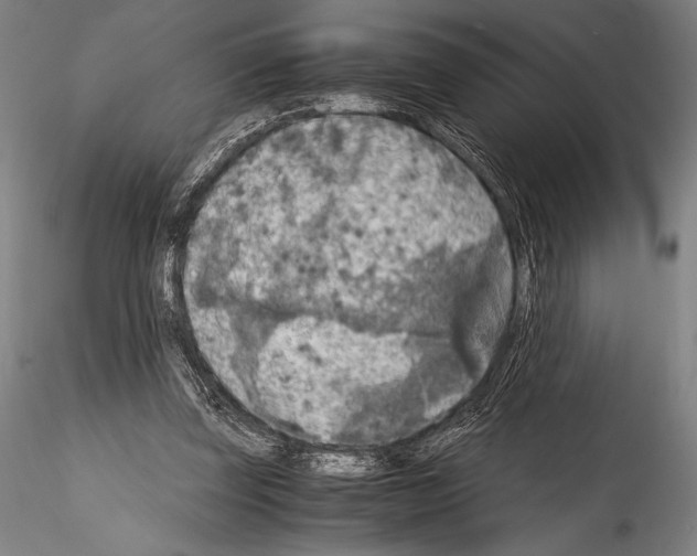 X0000114410347200911271531