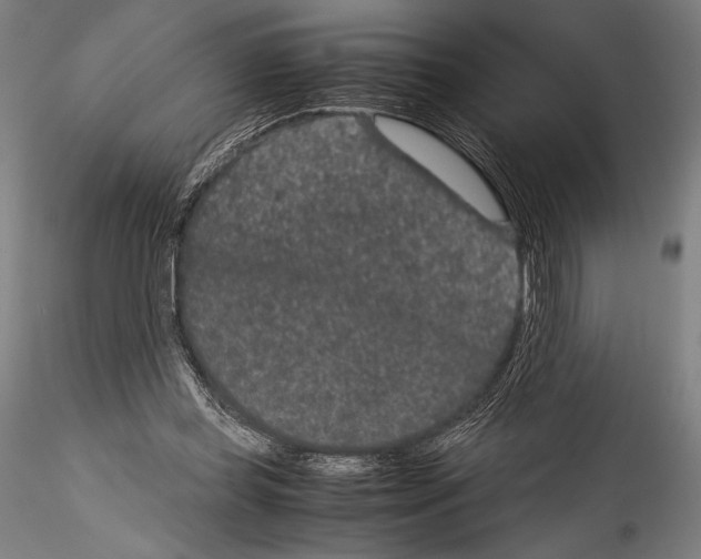 X0000114410349200911271531