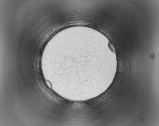 X0000114410350200911271531