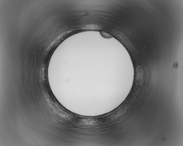 X0000114410351200911271531