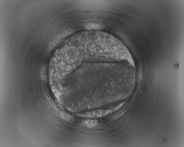 X0000114410353200911271531