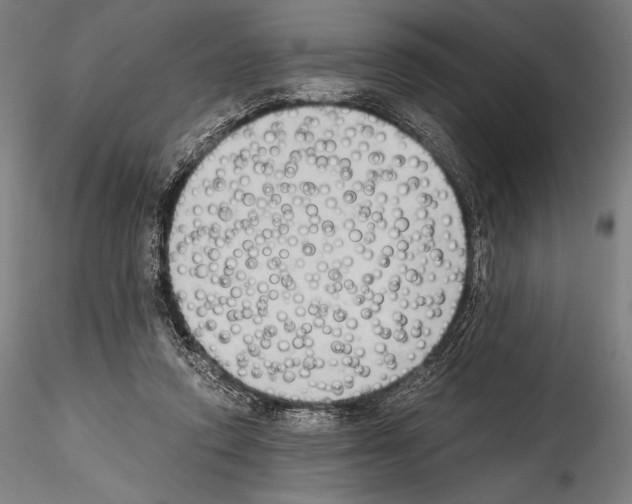 X0000114410354200911271531