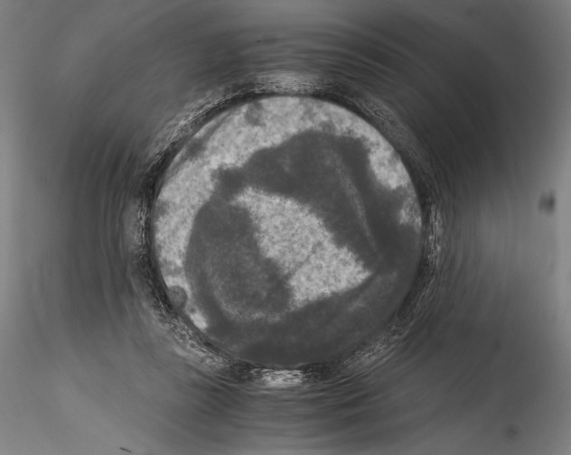 X0000114410355200911271531