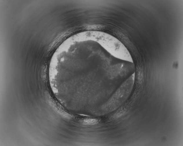 X0000114410357200911271531