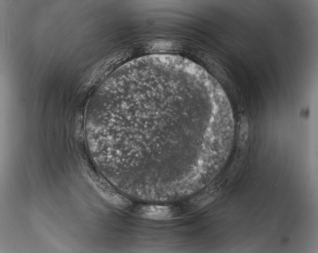 X0000114410361200911271531