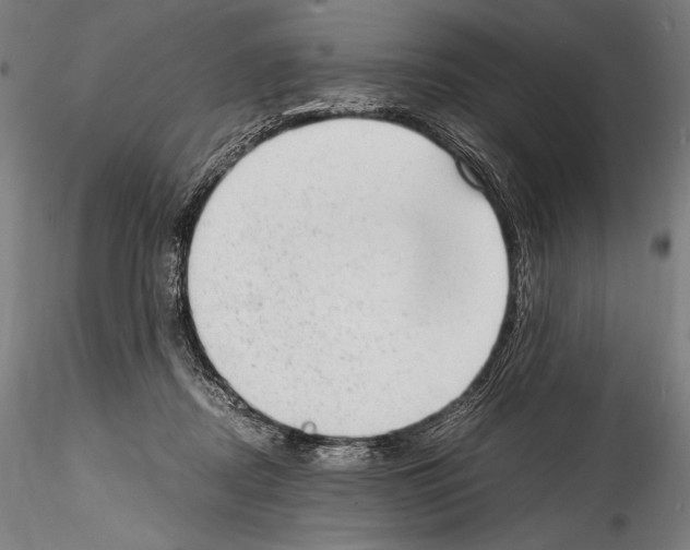 X0000114410362200911271531