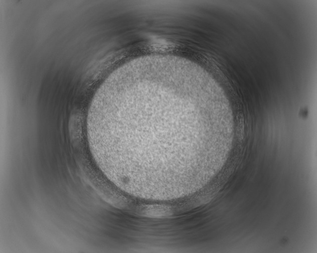 X0000114410363200911271531