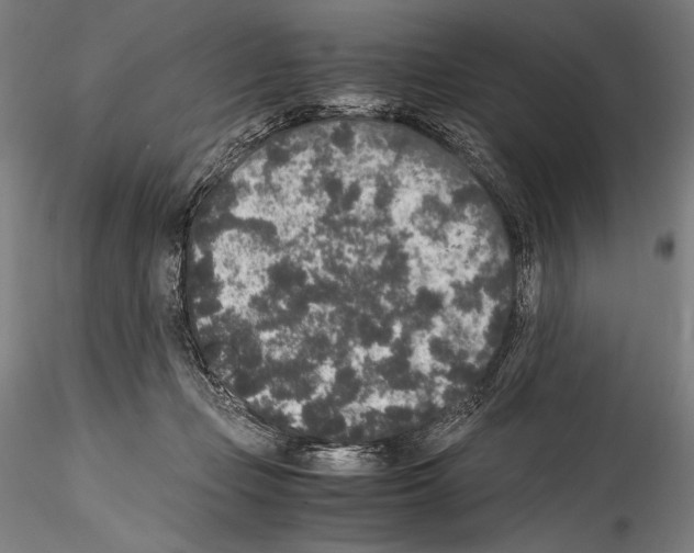 X0000114410365200911271532