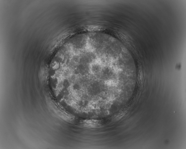 X0000114410367200911271532