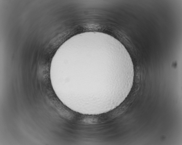 X0000114410369200911271532