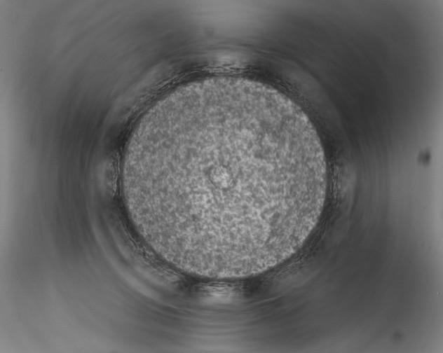 X0000114410370200911271532