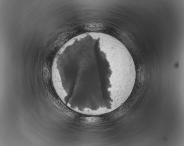 X0000114410371200911271532