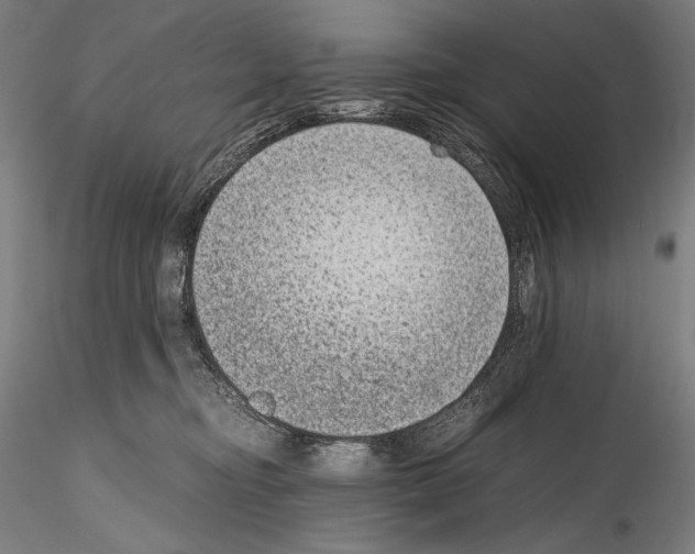 X0000114410374200911271532