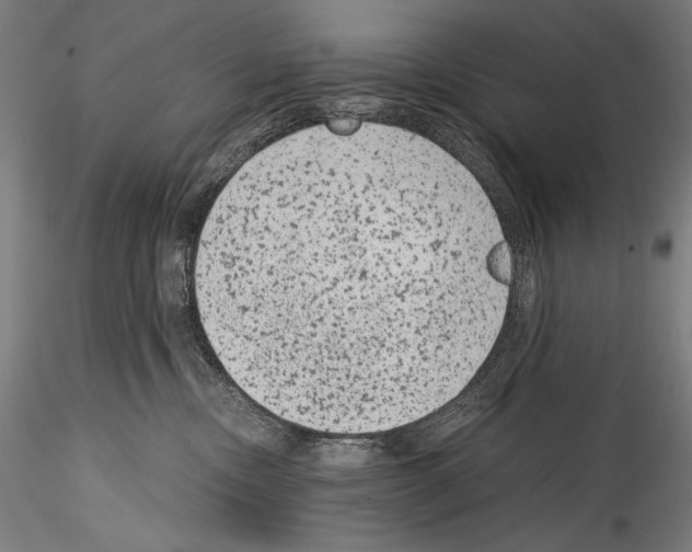 X0000114410378200911271532