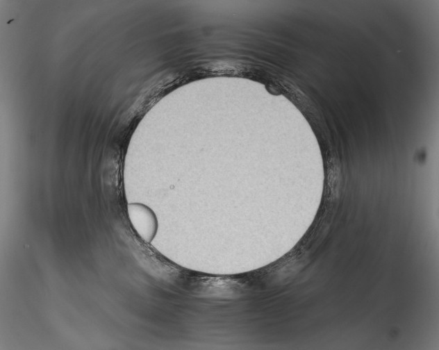 X0000114410379200911271532