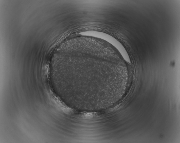 X0000114410382200911271532