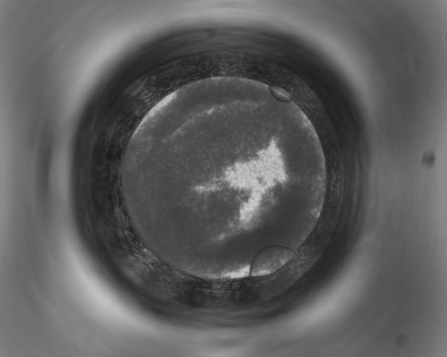 X0000114410383200911271532