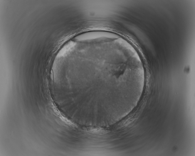 X0000114410385200911271531