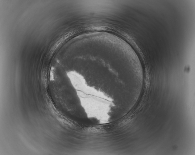 X0000114410386200911271531