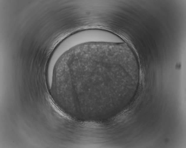 X0000114410389200911271531