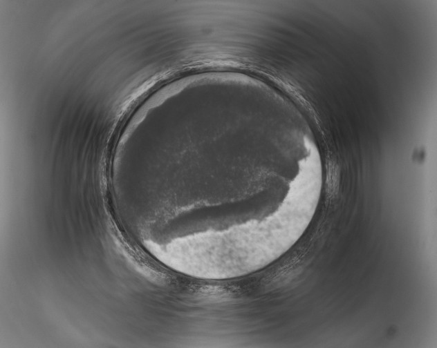 X0000114410390200911271531