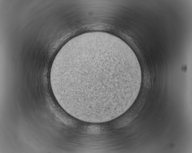 X0000114410394200911271531