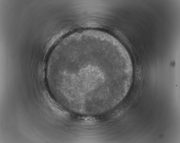 X0000114410395200911271531