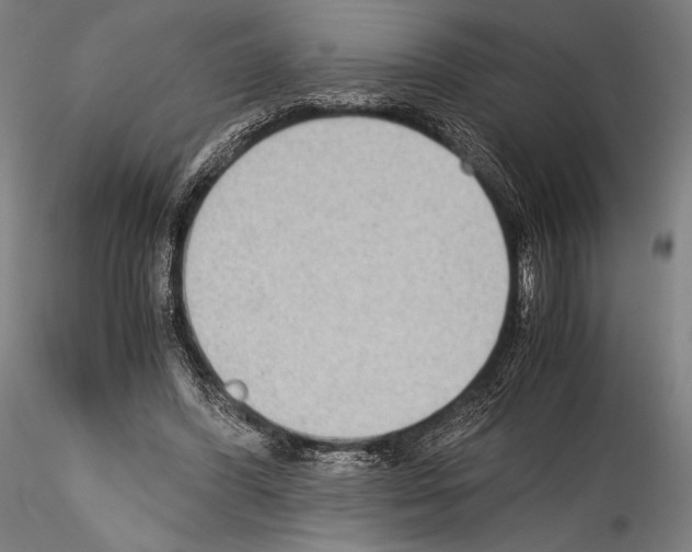 X0000114410396200911271531