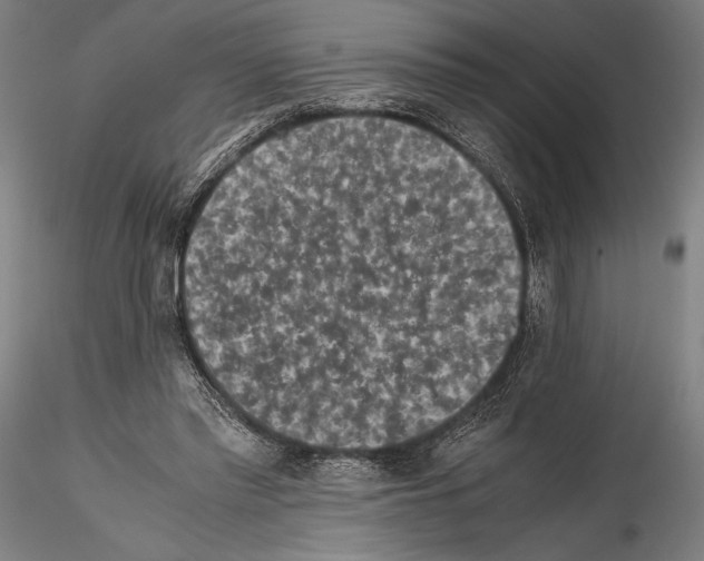 X0000114410397200911271531