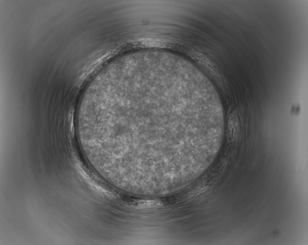 X0000114410398200911271531