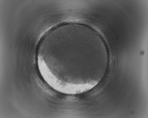 X0000114410399200911271531