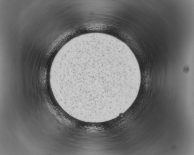 X0000114410400200911271531